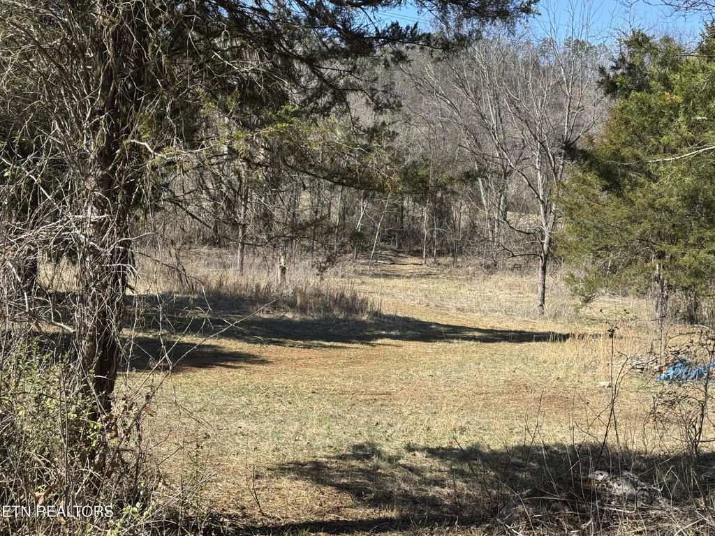 Image Unavailable