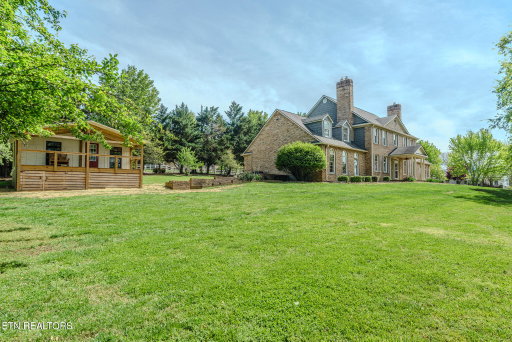 Media Image 2
