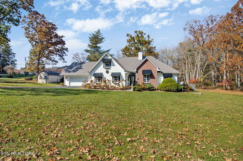 Media Image 1
