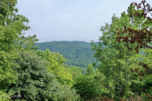 Media Image 2