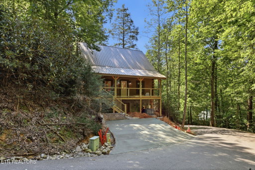Media Image 3