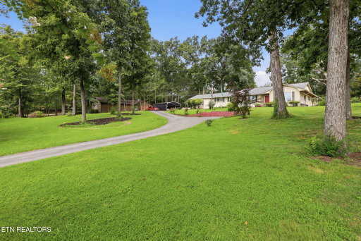 Media Image 2
