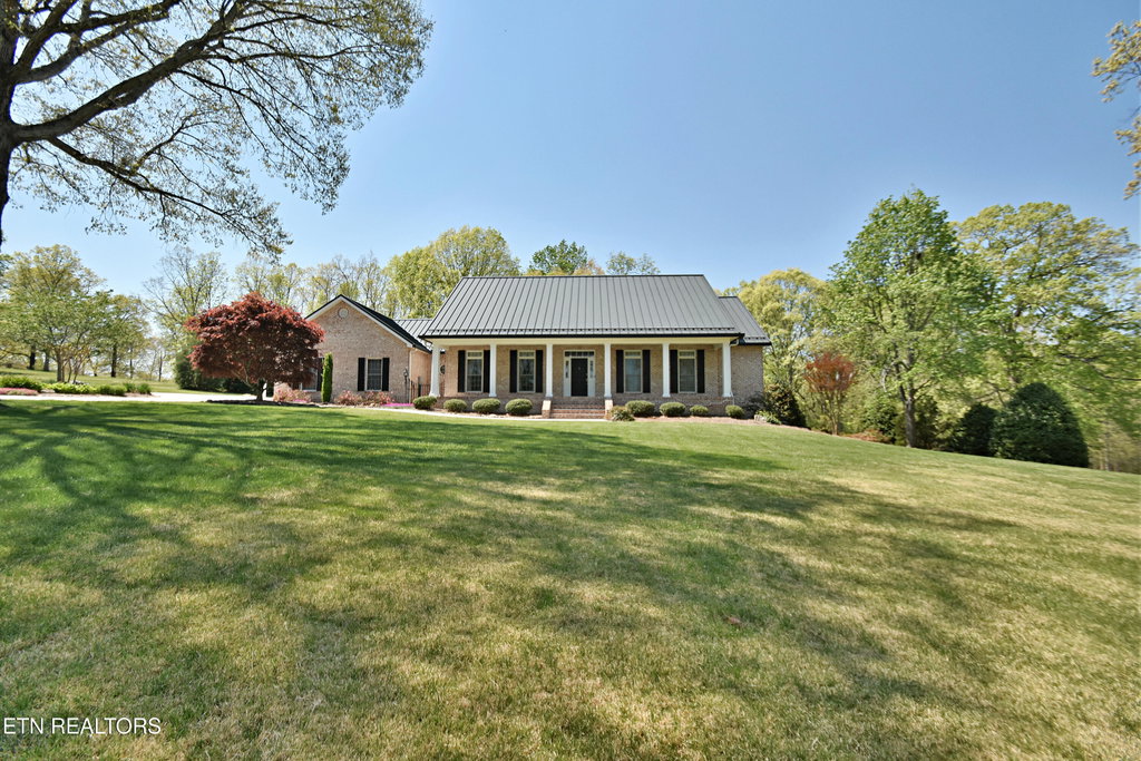 Media Image 1
