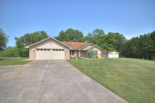 Media Image 3