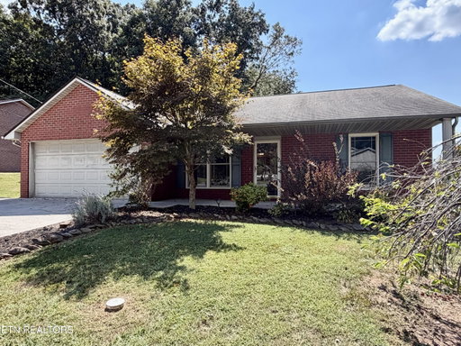 Media Image 2