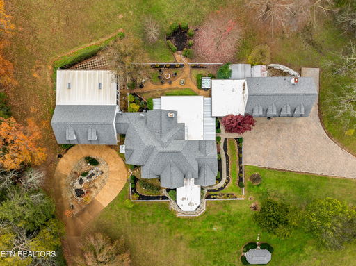 Media Image 3