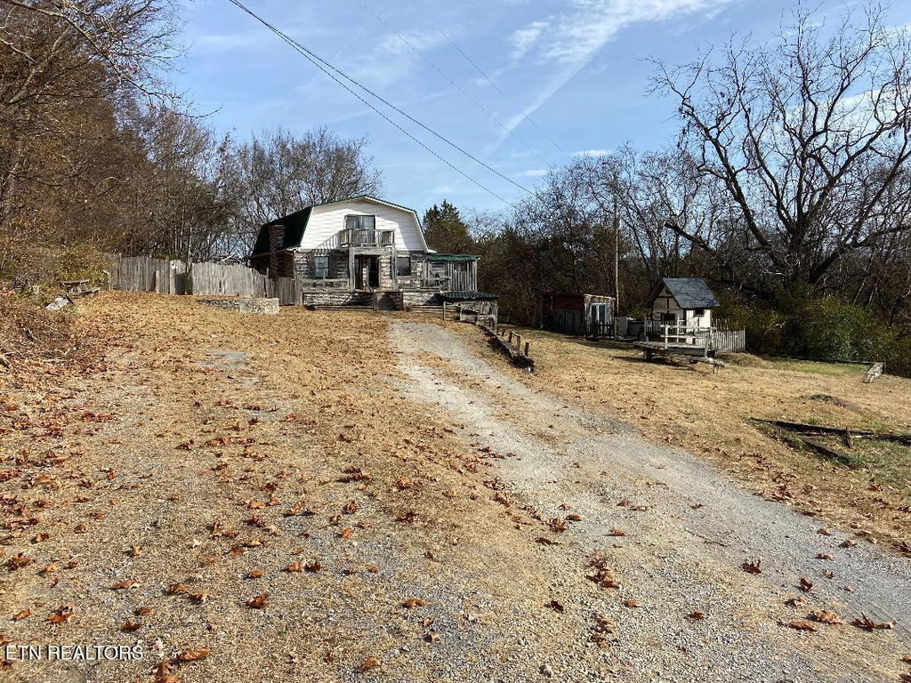 Media Image 1