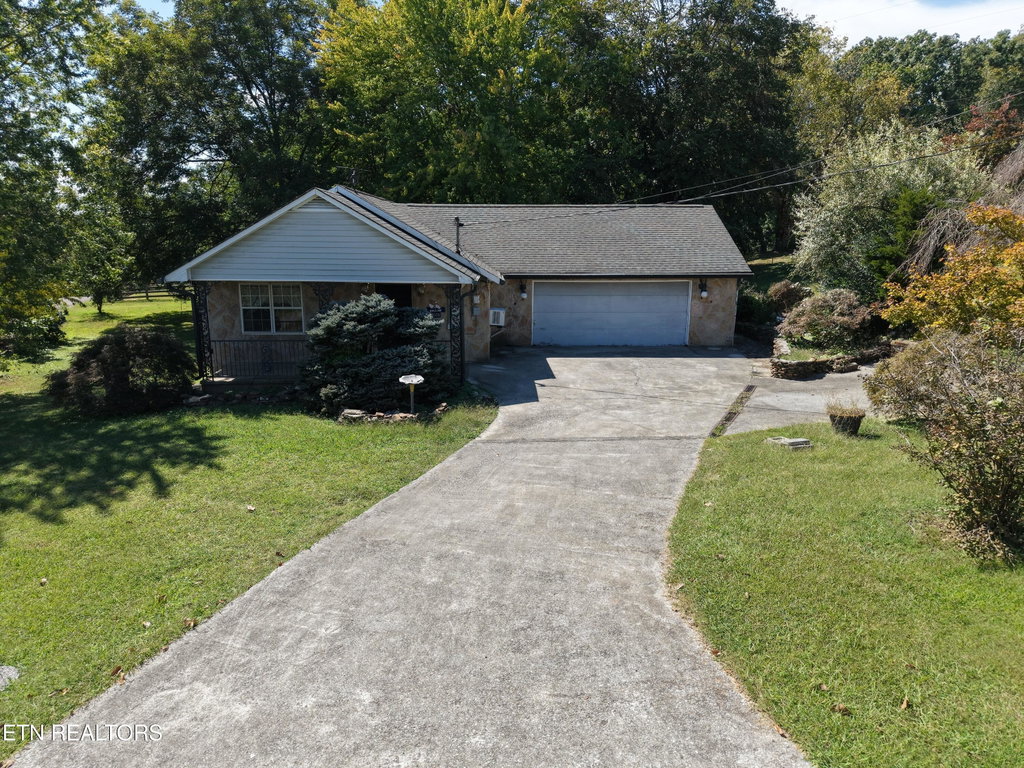 Media Image 1