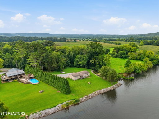 Media Image 2