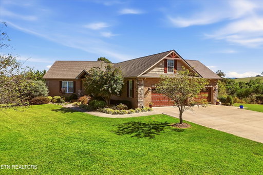Media Image 3