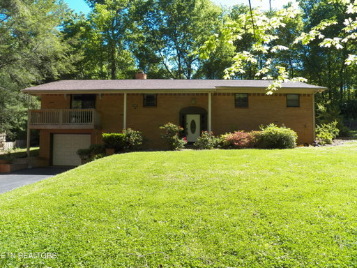 Media Image 2