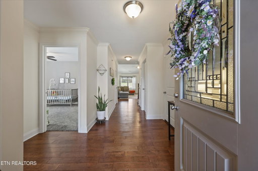 Media Image 3