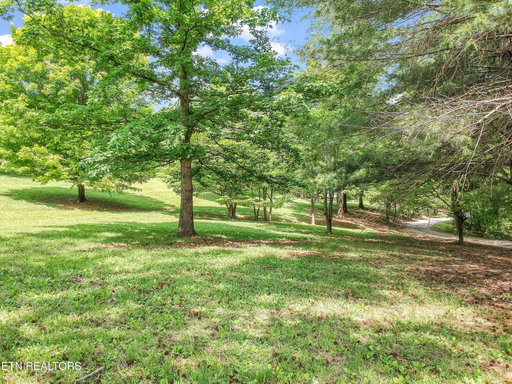 Media Image 3