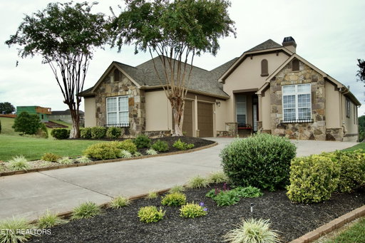 Media Image 2