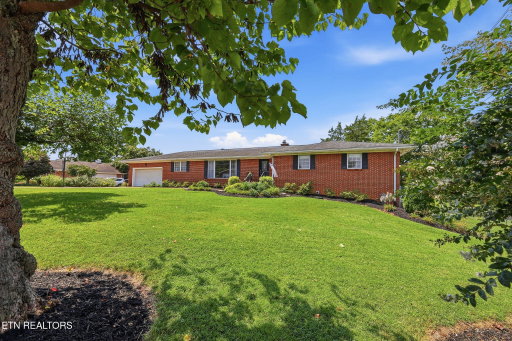 Media Image 2