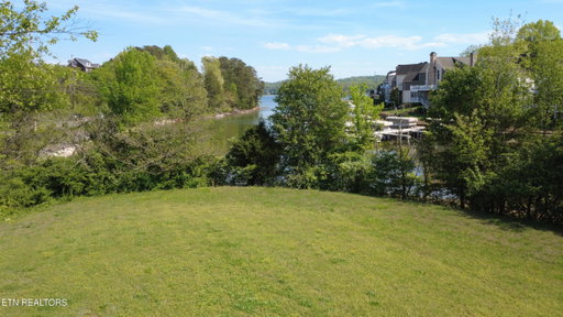 Media Image 2