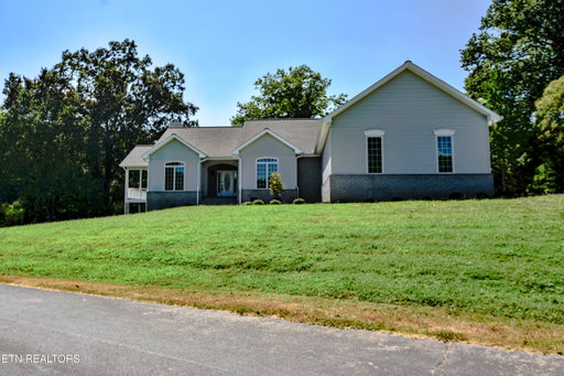 Media Image 2