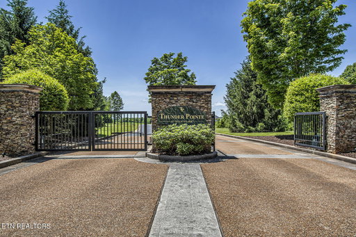 Media Image 2