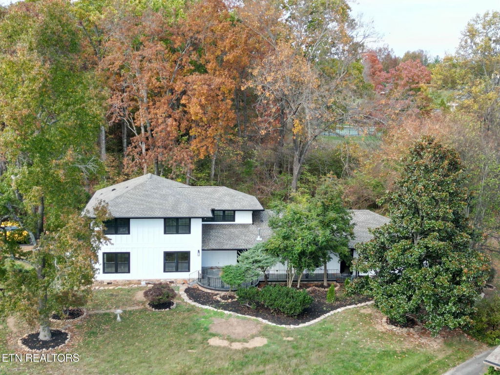 Media Image 1