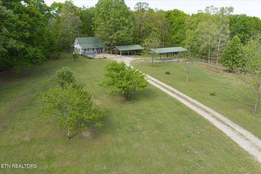 Media Image 2