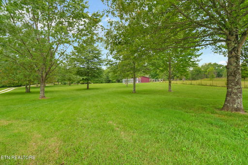 Media Image 3