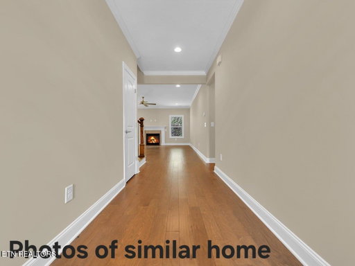 Media Image 3