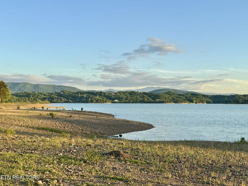 Media Image 2