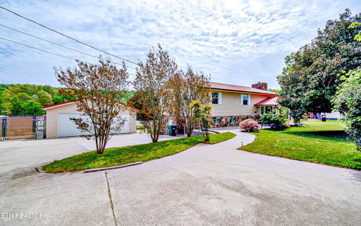 Media Image 3