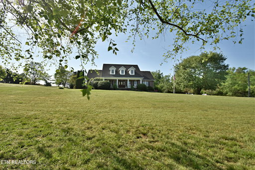 Media Image 2