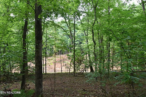 Media Image 2