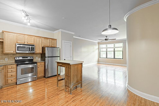 Media Image 2