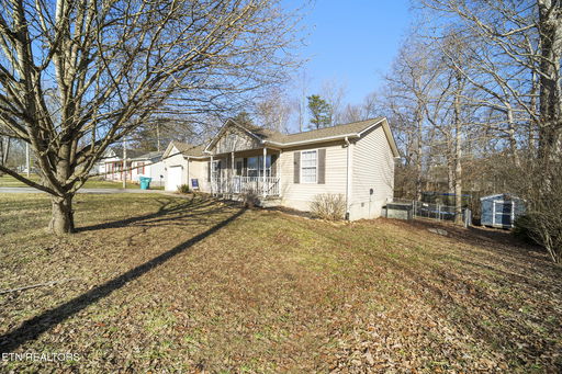 Media Image 3