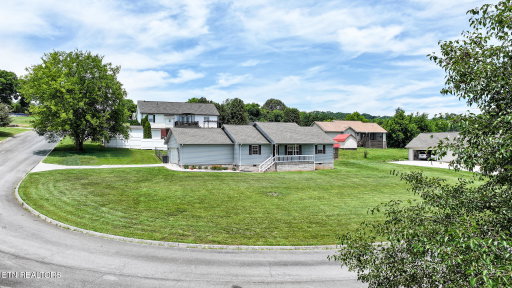 Media Image 3