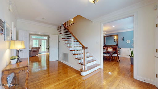 Media Image 3