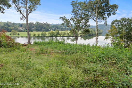 Media Image 2