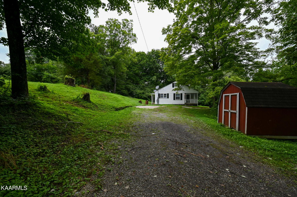 Media Image 1