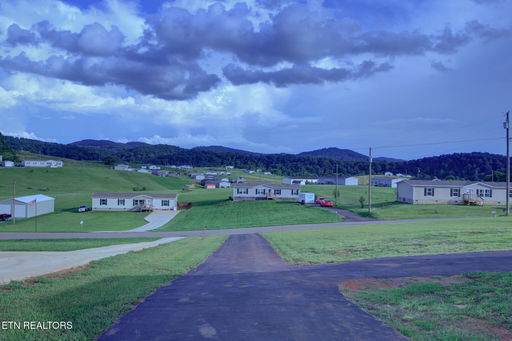 Media Image 3