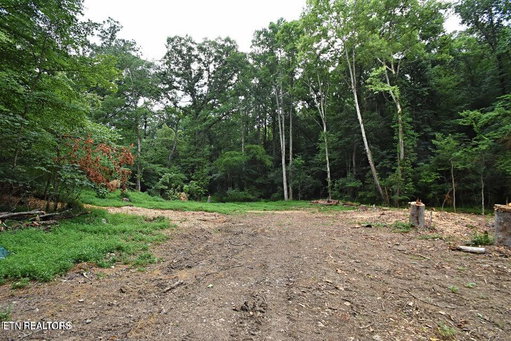 Media Image 2