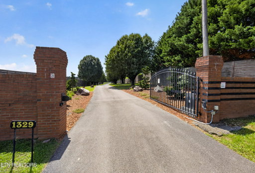 Media Image 3
