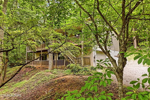 Media Image 2