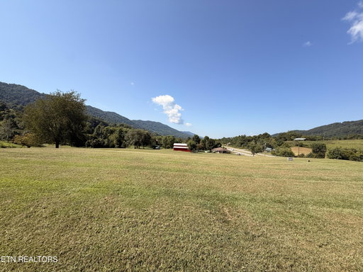 Media Image 3