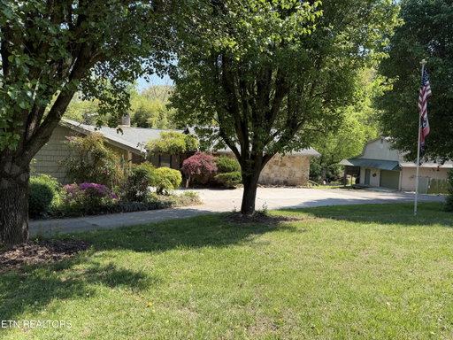 Media Image 2