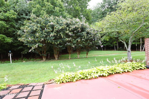 Media Image 3