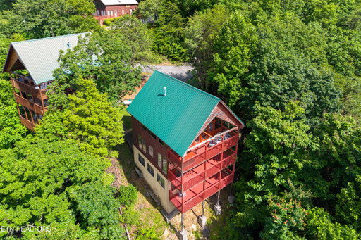 Media Image 2