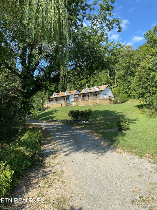 Media Image 2