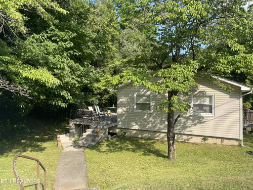 Media Image 3