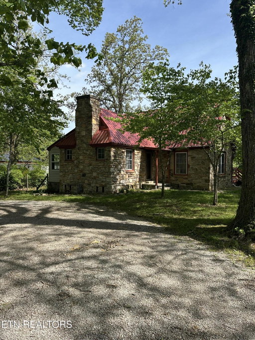 Media Image 3
