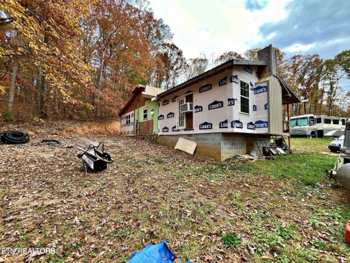 Media Image 3