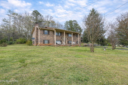 Media Image 2