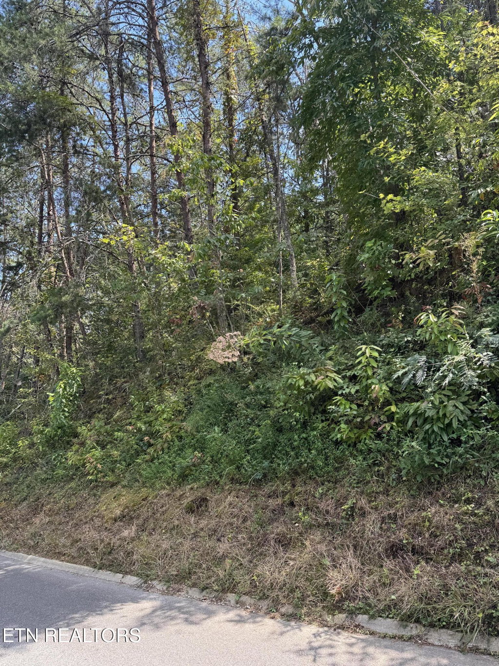 Image Unavailable
